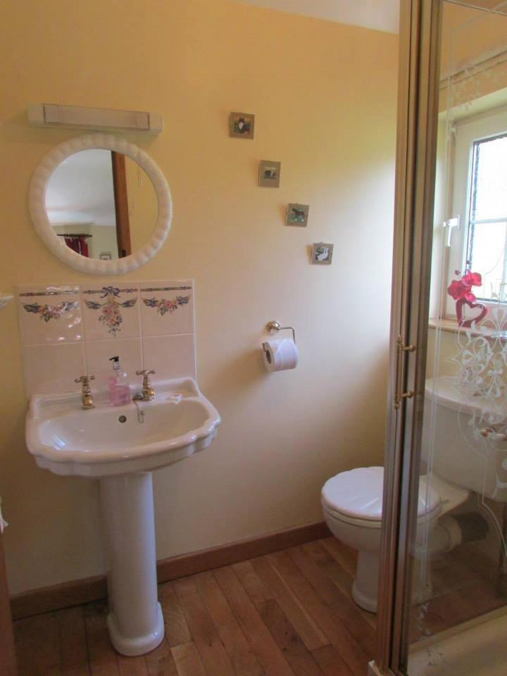 Bryn Sion Farm Villa Dinas Mawddwy Bagian luar foto